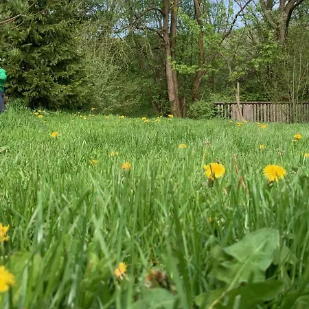 Musica シャレー Malatiny