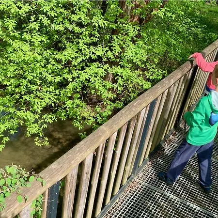 シャレー Musica Malatiny